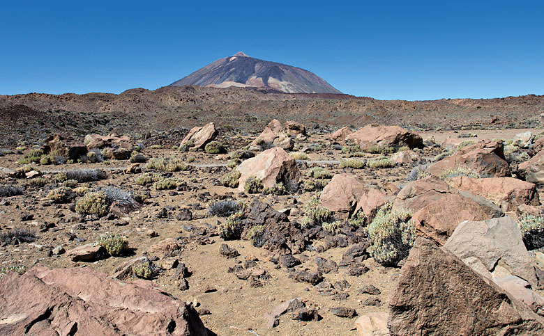 Die Cañada de las Pilas, im Hintergrund der Teide