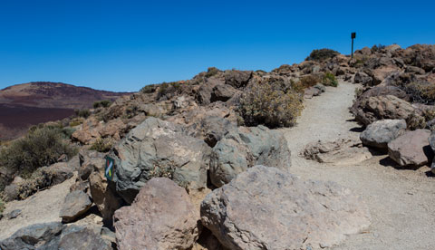 Bild zum Thema Wandern Teide Nationalpark