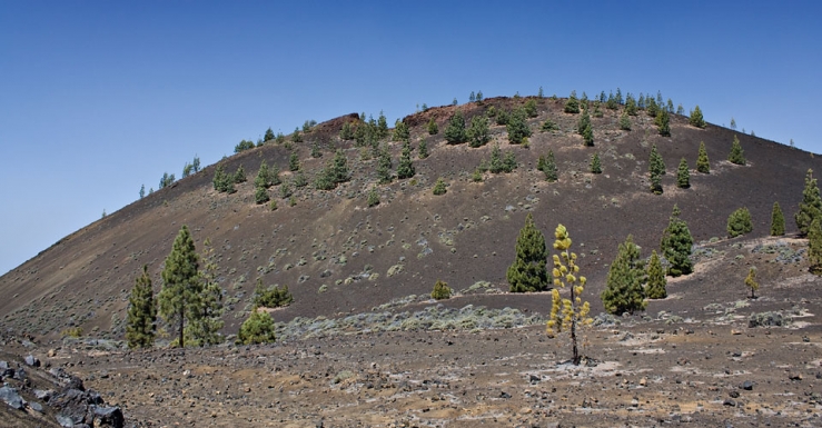 Montaña Samara