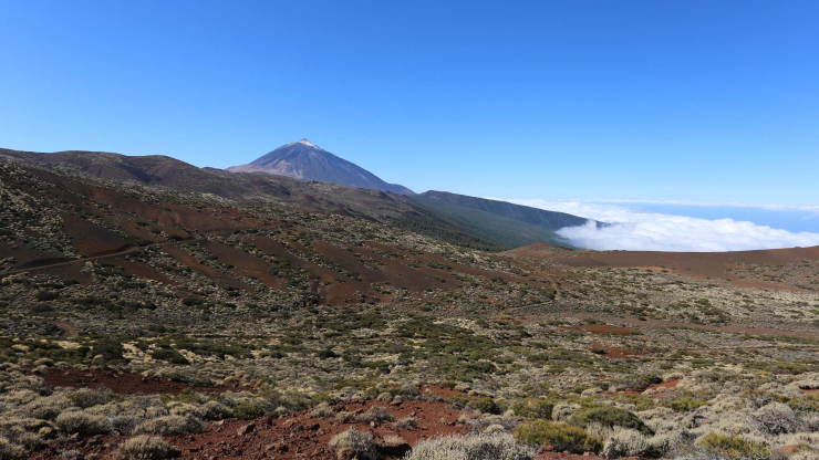blick vom Montaña Limón über den Teide Nationalpark blick vom Montaña Limón über den Teide Nationalpark