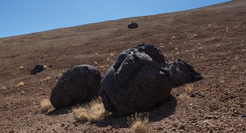 Huevos del Teide