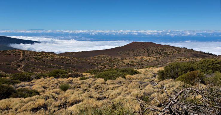 Mirador Montaña Limón