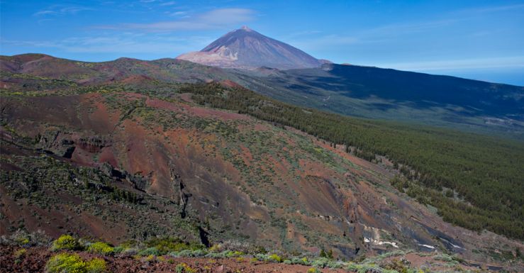 Mirador_Tarta.jpg