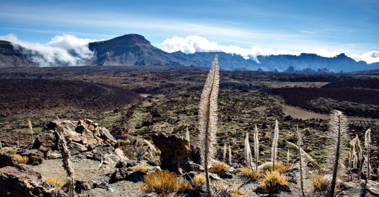 Mirador Tabonal Negro